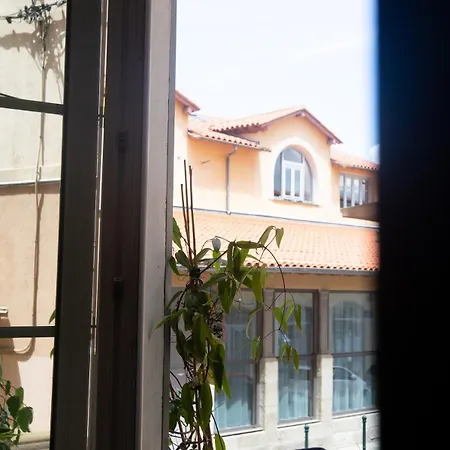 Cocon Hyper Centre-ville Confort Ajaccio (Corsica)