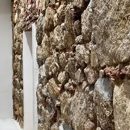 Cocon Hyper Centre-ville Confort