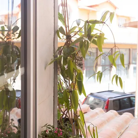 Cocon Hyper Centre-ville Confort Daire