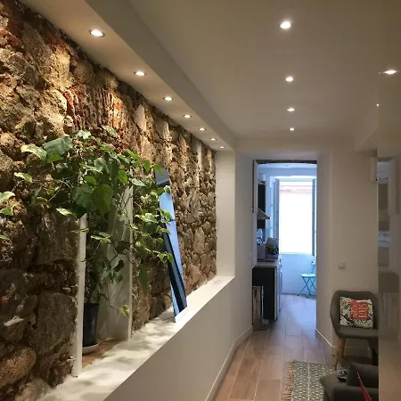 Cocon Hyper Centre-ville Confort Daire *