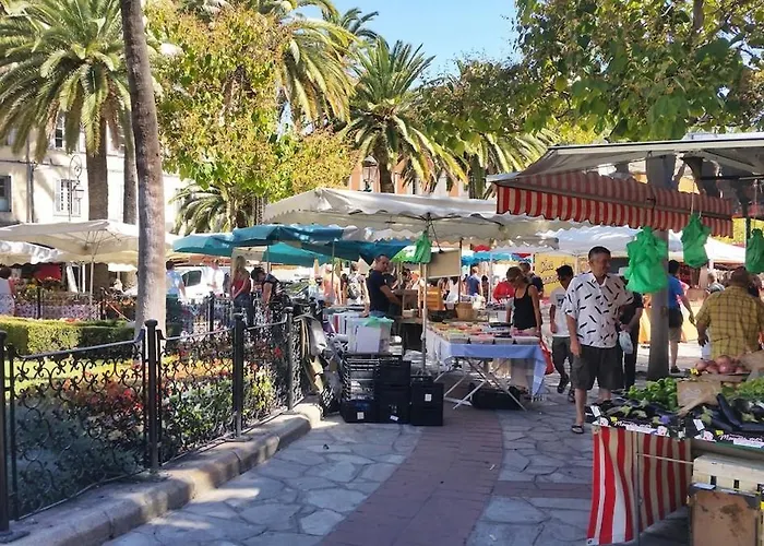 Cocon Hyper Centre-ville Confort * Ajaccio (Corsica)