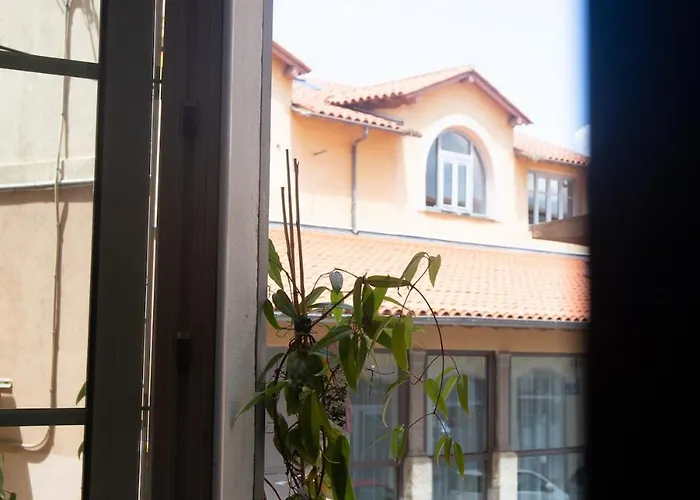 Cocon Hyper Centre-ville Confort Ajaccio (Corsica)