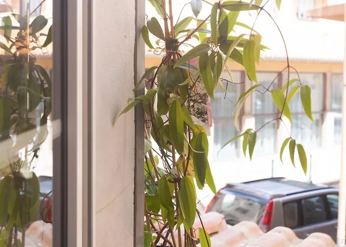 Cocon Hyper Centre-ville Confort Daire