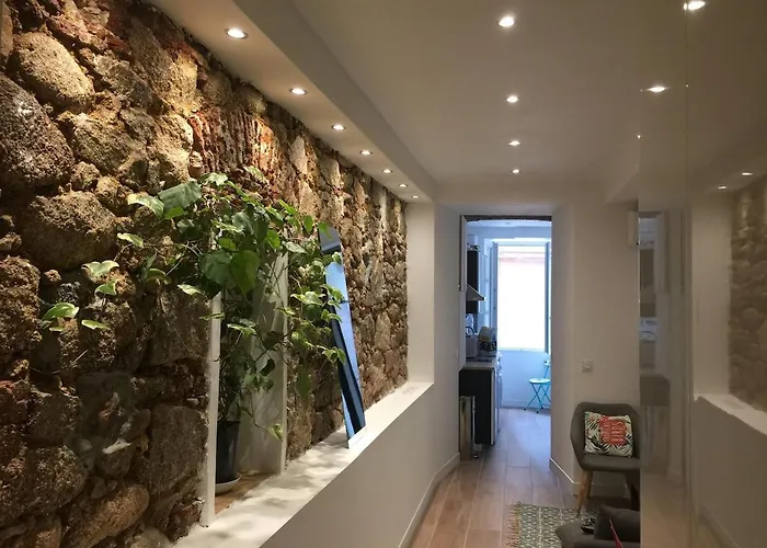 Cocon Hyper Centre-ville Confort Daire *