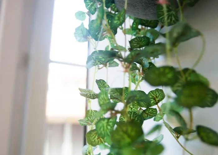 Daire Cocon Hyper Centre-ville Confort *